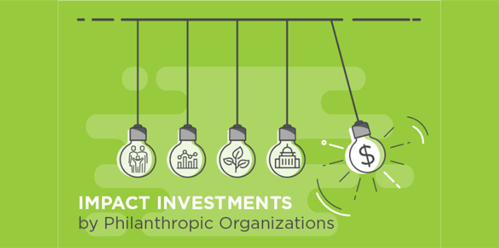 Impact Investments by Philanthropic Organizations